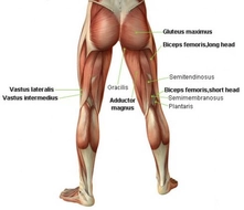 Bacak Kasları Nasıl Geliştirilir?